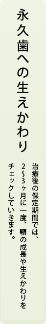 永久歯への生えかわり