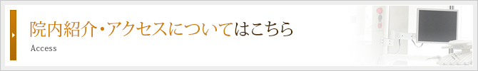 院内紹介・アクセスについてはこちら